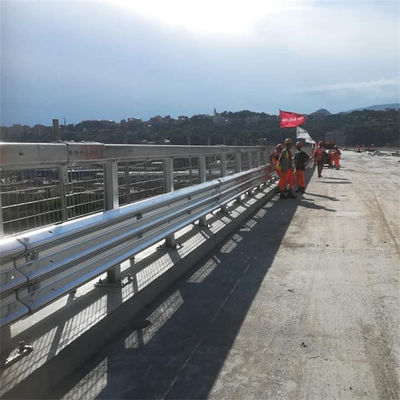 高速道路ガードレイル 鉄筋フェンス CE/BV/ISO 認証と粉末塗装仕上げ